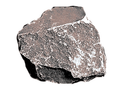 789-2T.jpg